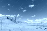 preview cold