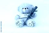 preview cold