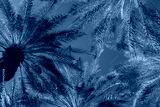 preview cold