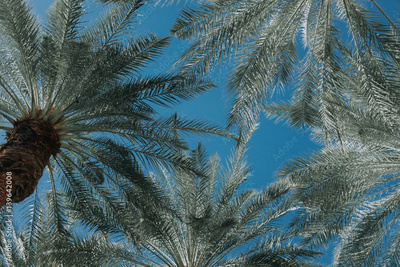 image to crop