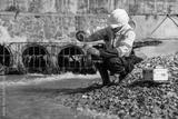 preview bw