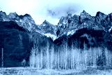 preview cold