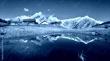 preview cold