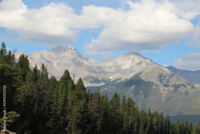 image to crop