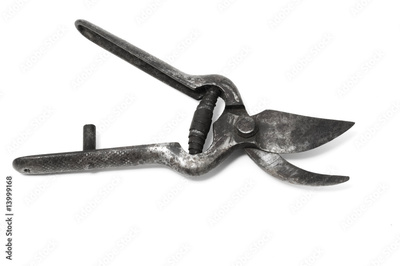 image to crop