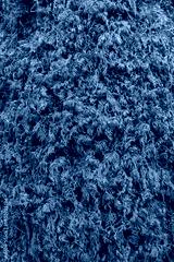 preview cold