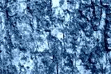 preview cold