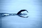 preview cold