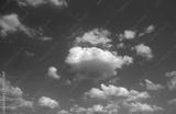 preview bw