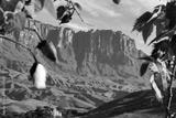 preview bw