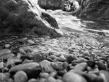 preview bw
