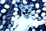 preview cold