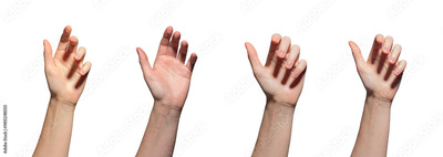image to crop