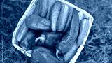 preview cold