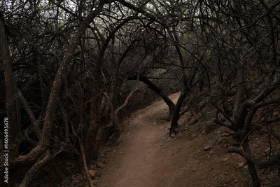 image to crop