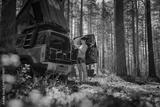 preview bw