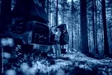 preview cold