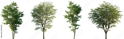 image to crop