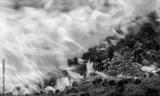 preview bw