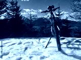 preview cold