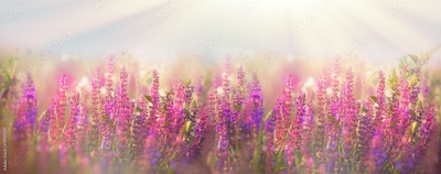 image to crop