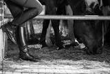 preview bw