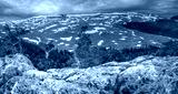 preview cold