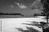 preview bw