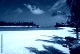 preview cold