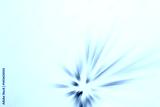 preview cold