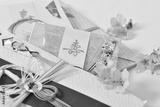 preview bw