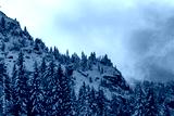 preview cold