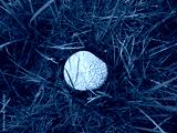 preview cold