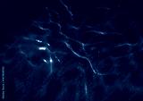 preview cold