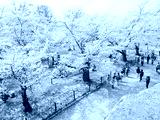 preview cold