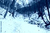 preview cold