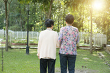preview original
