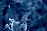 preview cold