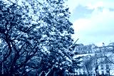 preview cold