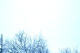 preview cold