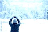 preview cold