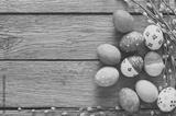 preview bw