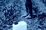 preview cold