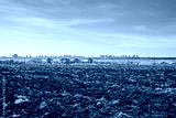 preview cold
