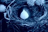 preview cold
