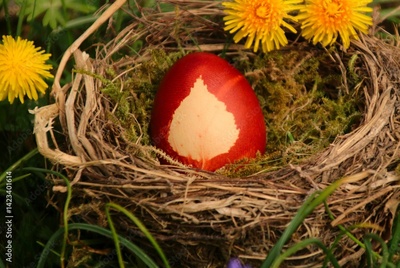 image to crop