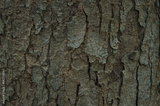preview original