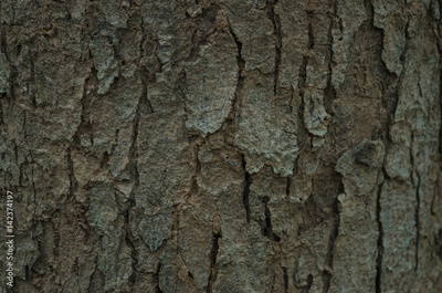 image to crop