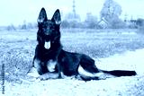 preview cold