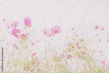 preview original
